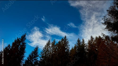 Nature spring travel scenic time lapse.
