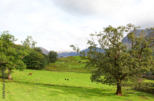 The Lake District is a region and national park in Cumbria in northwest England. A popular vacation destination  it   s known for its glacial ribbon lakes  rugged fell mountains