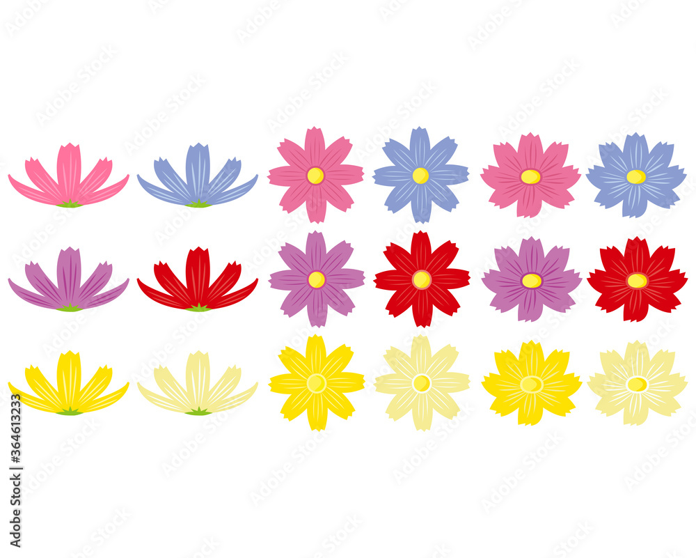 カラフルなコスモスの花のベクターイラスト Stock Vector Adobe Stock
