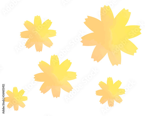 カラフルなコスモスの花のベクターイラスト　