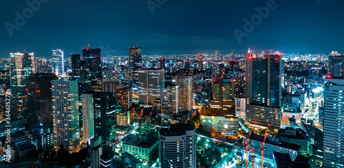 Tokyo, Japan cityscape view from high above photo