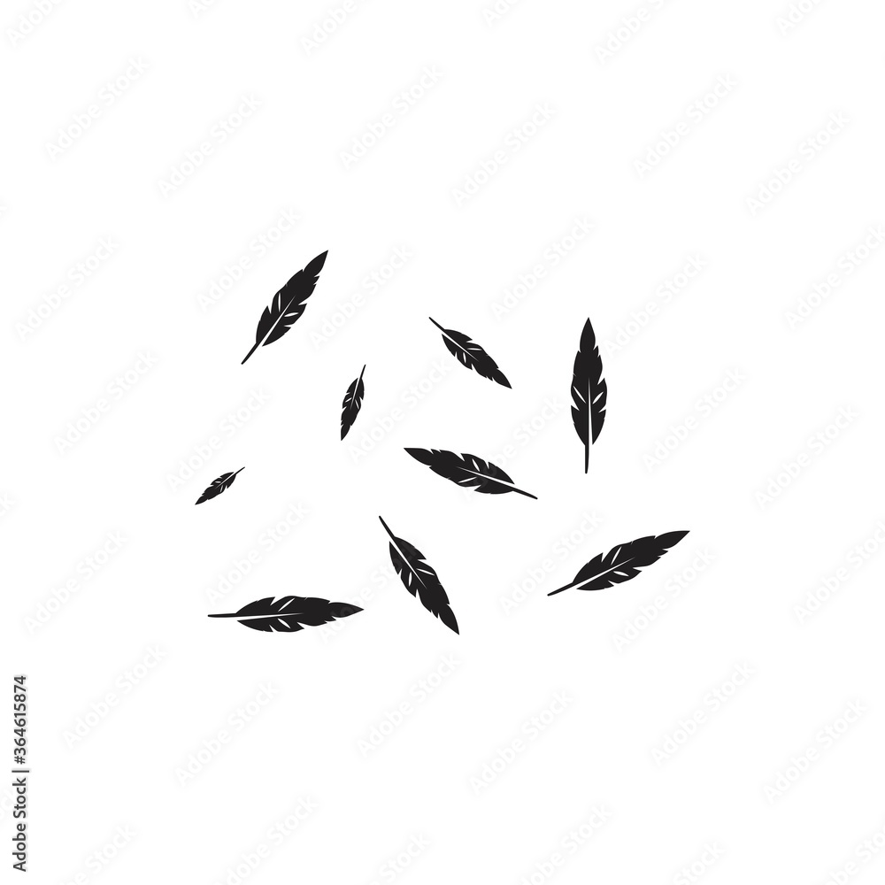 Feather background Feather background