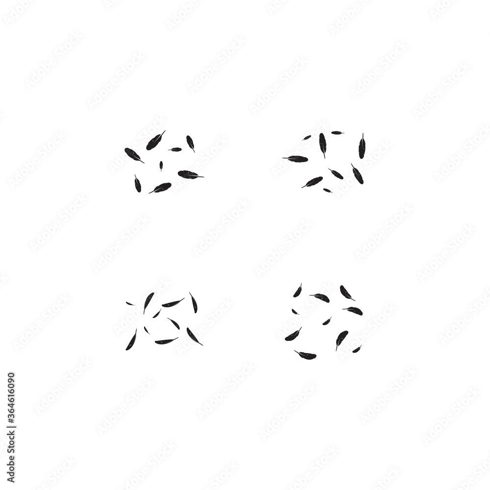 Feather background Feather background
