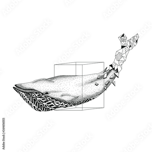 Ballena jorobada saliendo de línea geométrica y deformándose 
