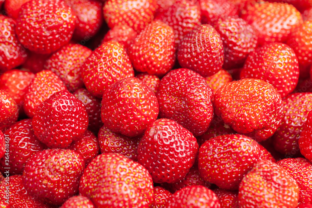 Lots of strawberry view from above, use as background or texture Lots of strawberry view from above, use as background or texture