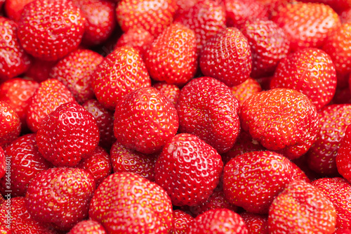 Lots of strawberry view from above  use as background or texture