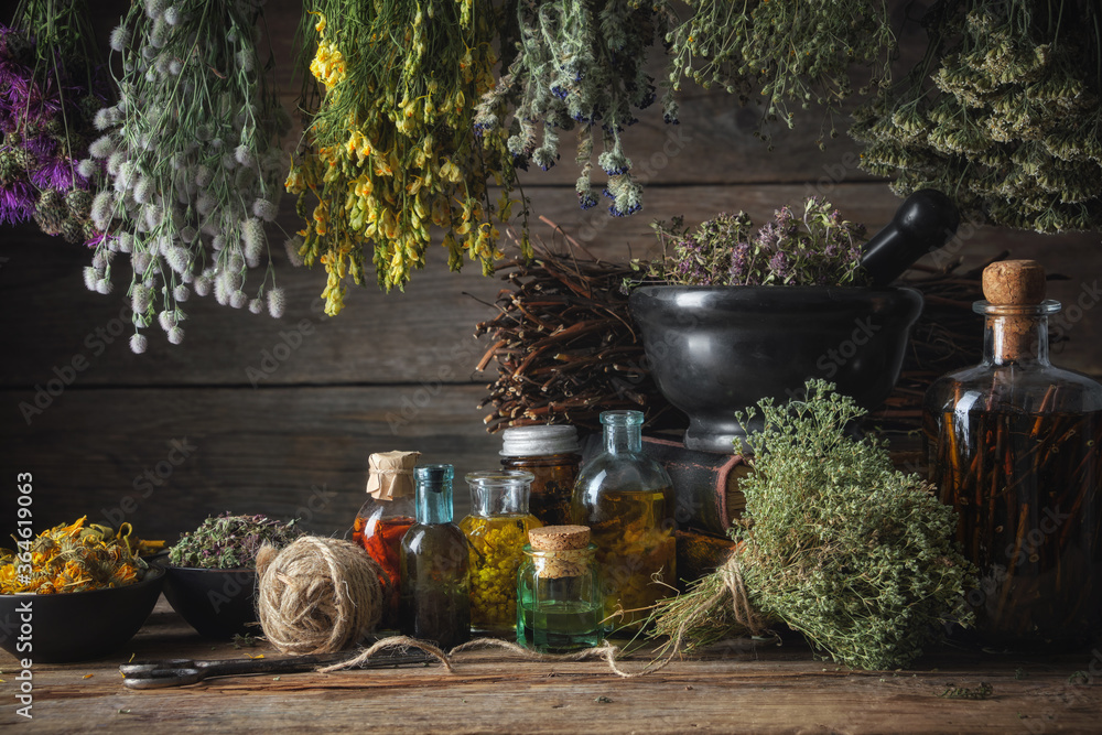 Hanging bunches of medical herbs, mortar and bowl with dried medicinal ...