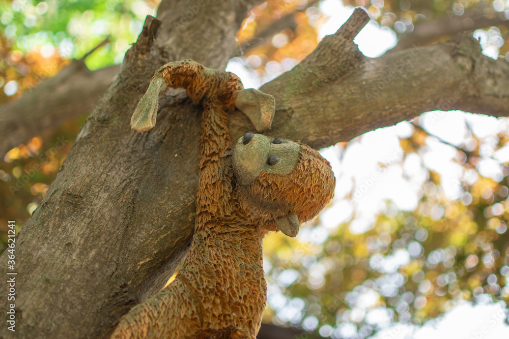 Stuffed monkey holds on to tree. Concept of 'hold on' or 'hang on.' Stuffed monkey holds on to tree. Concept of 'hold on' or 'hang on.'