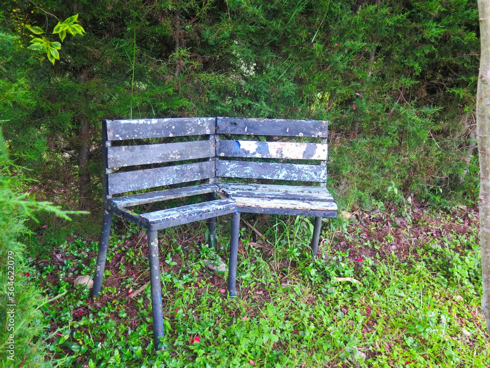 Naklejka premium outdoor wooden bench