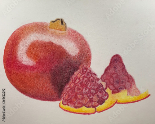 Pomegranate fruit Illustration for my University Course