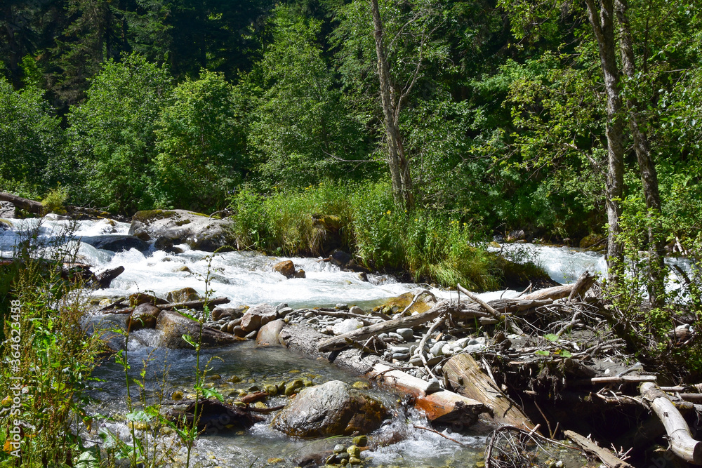 Small river in summer season in a morning, Caucasus mountain range Small river in summer season in a morning, Caucasus mountain range