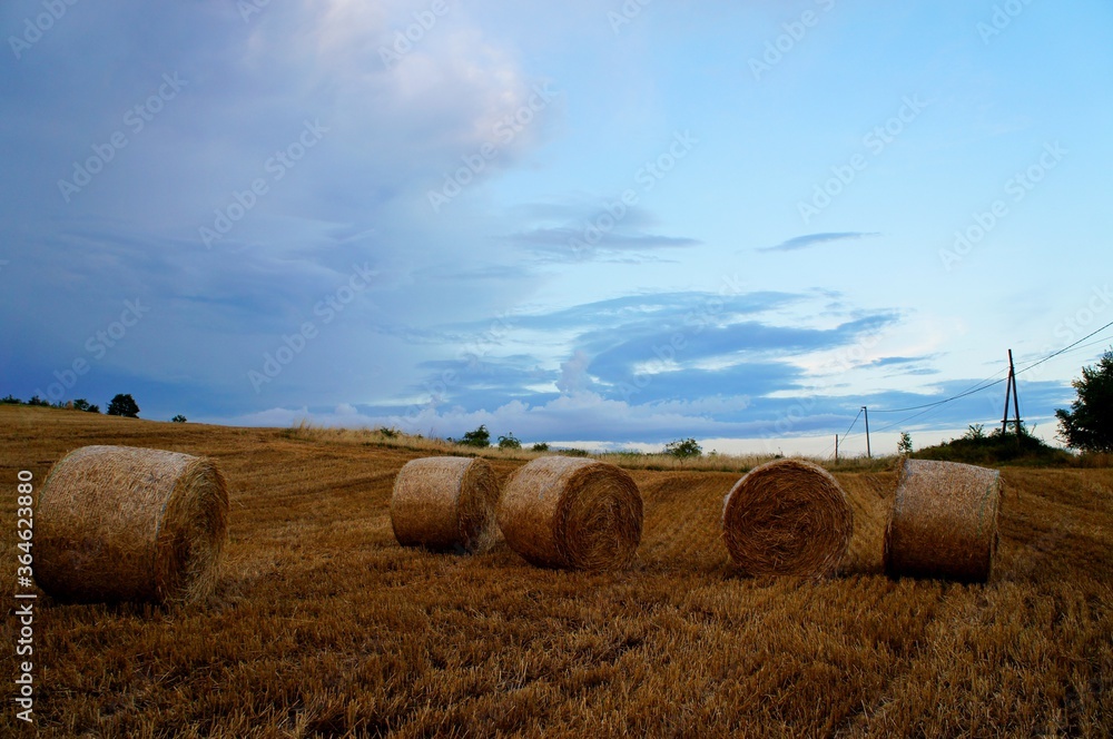 hay bales on the field