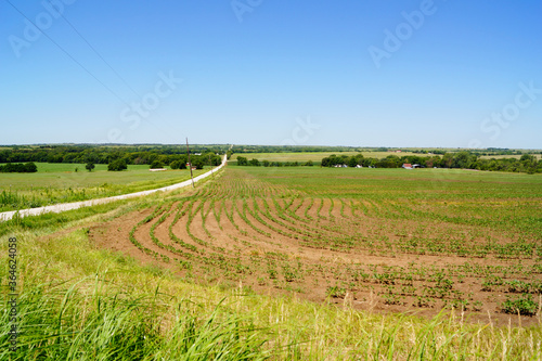 New crops grow in the fields of Kansas in the springtime.