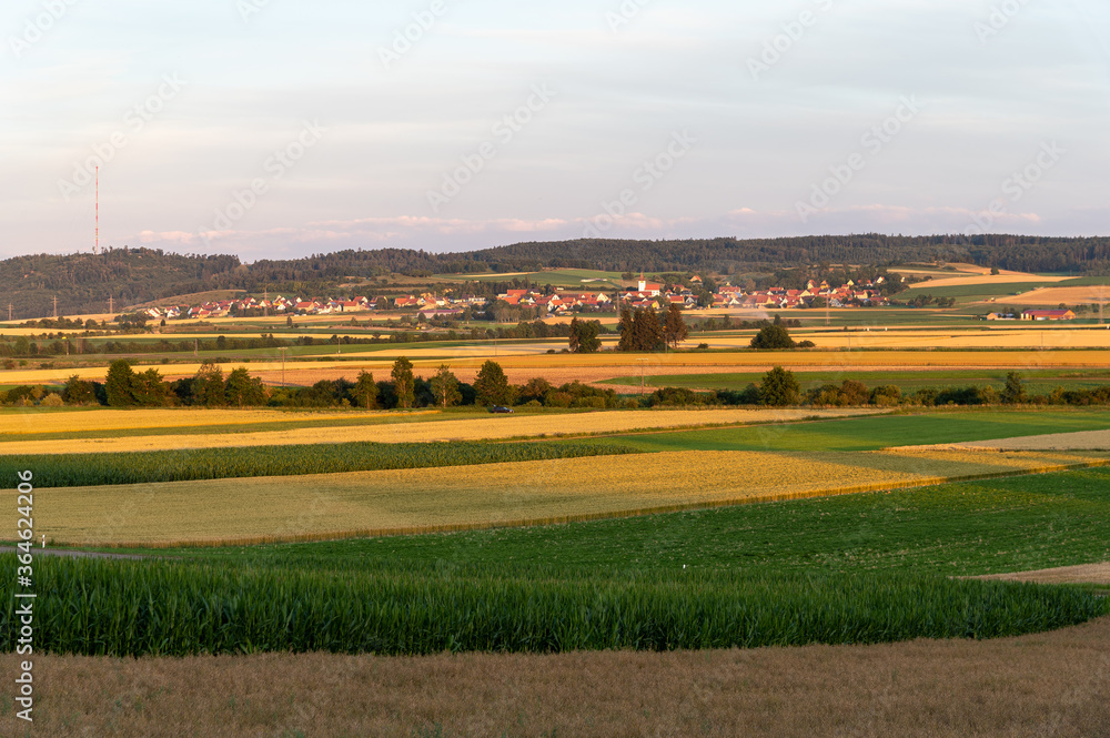 Blick auf den Rollenberg bei Hoppingen / Harburg (Schwaben) im Sonnenuntergang / Sonnenschein mit Maisfeld im Vordergrund und Grossorheim im Hintergrund