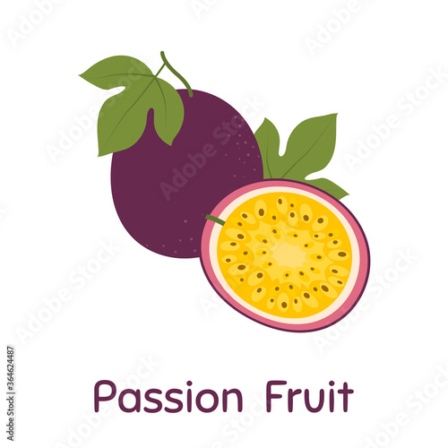 Passion Fruit. Vector Illustration EPS.