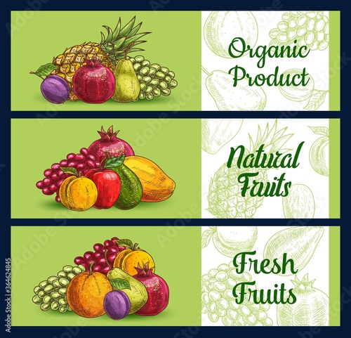 Tropical fruits banners sketch  farm market food  vector orange citrus  apple  pear and mango. Exotic tropical fruit pineapple  peach  and pomegranate  white and red grape  apricot and hand drawn plum