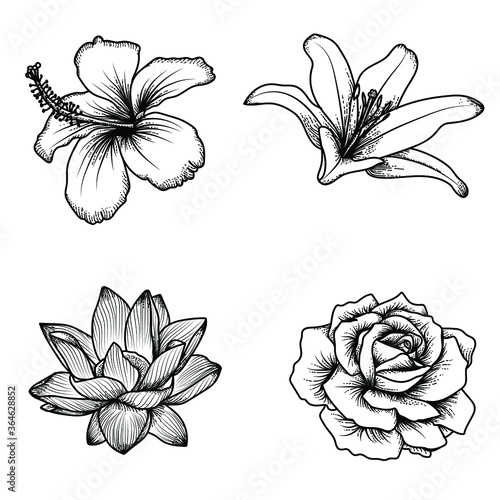 tattoo and t-shirt design black and white hand drawn illustration flower set bundle premium vector