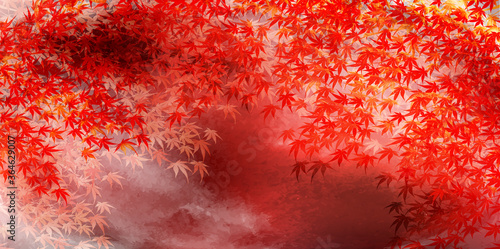 紅葉　もみじ　秋　背景 