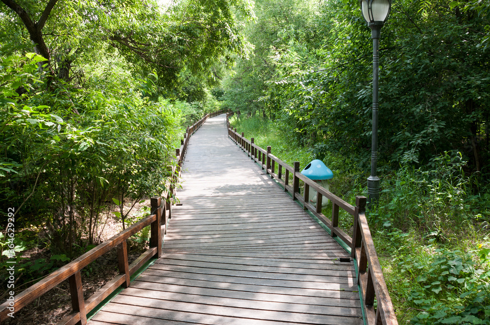 Obraz premium China, Heihe, July 2019: Walking path in the Park on the embankment in Heihe city in summer