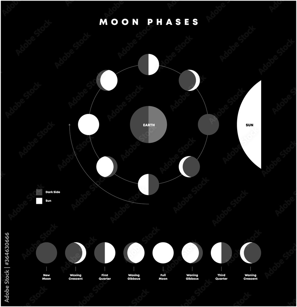 Moon phases infographic set, calendar symbols, Sun, Solar, Earth, luna ...