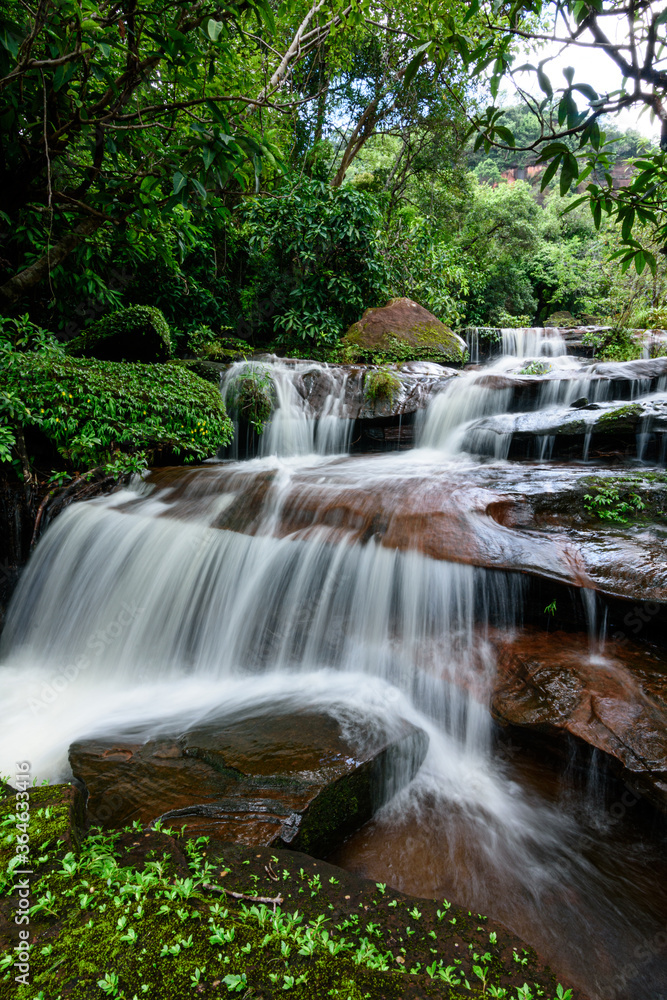 Obraz premium Beautiful waterfalls in the green forest in the forest area of ​​Phu Lanka National Park, Bueng Kan Province, Thailand