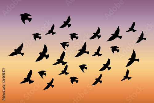A flock of birds at sunset. Vector abstract silhouette of flying birds. Pattern of sunrise and geese or ducks. Free wildlife for hunting. Stock Photo.