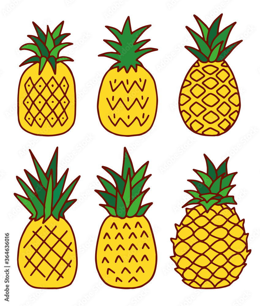 パイナップル パイン 手描き 線画 ベクター イラスト Stock Vector Adobe Stock パイナップル パイン 手描き 線画 ベクター イラスト Stock Vector Adobe Stock