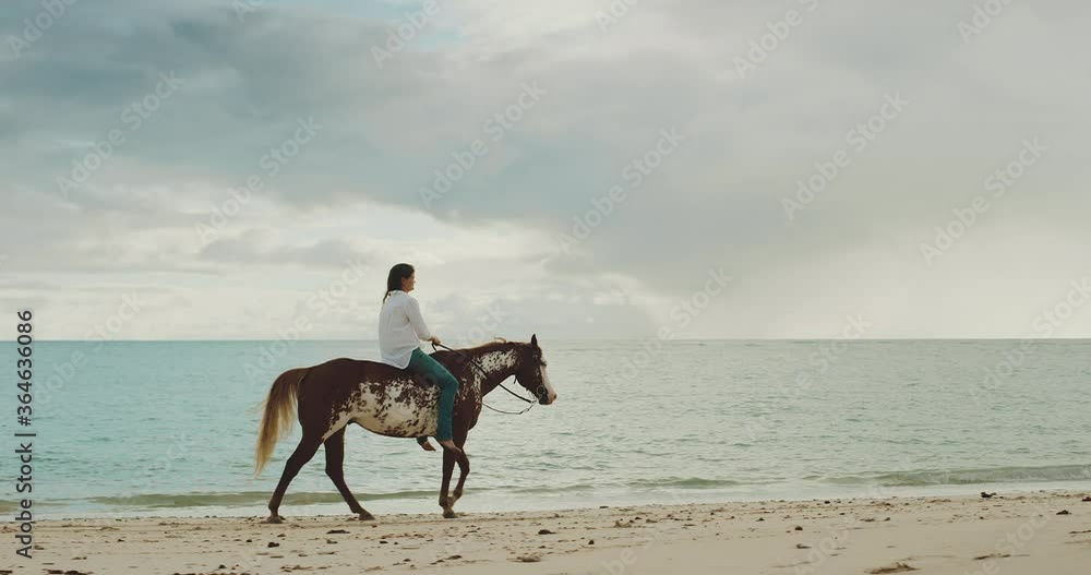 Woman horseback riding brown horse down the beach at sunrise, majestic slow motion by the ocean Woman horseback riding brown horse down the beach at sunrise, majestic slow motion by the ocean