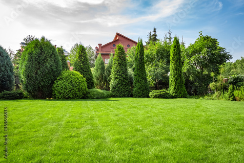 Slika na platnu Freshly cut grass in the backyard of a private house.