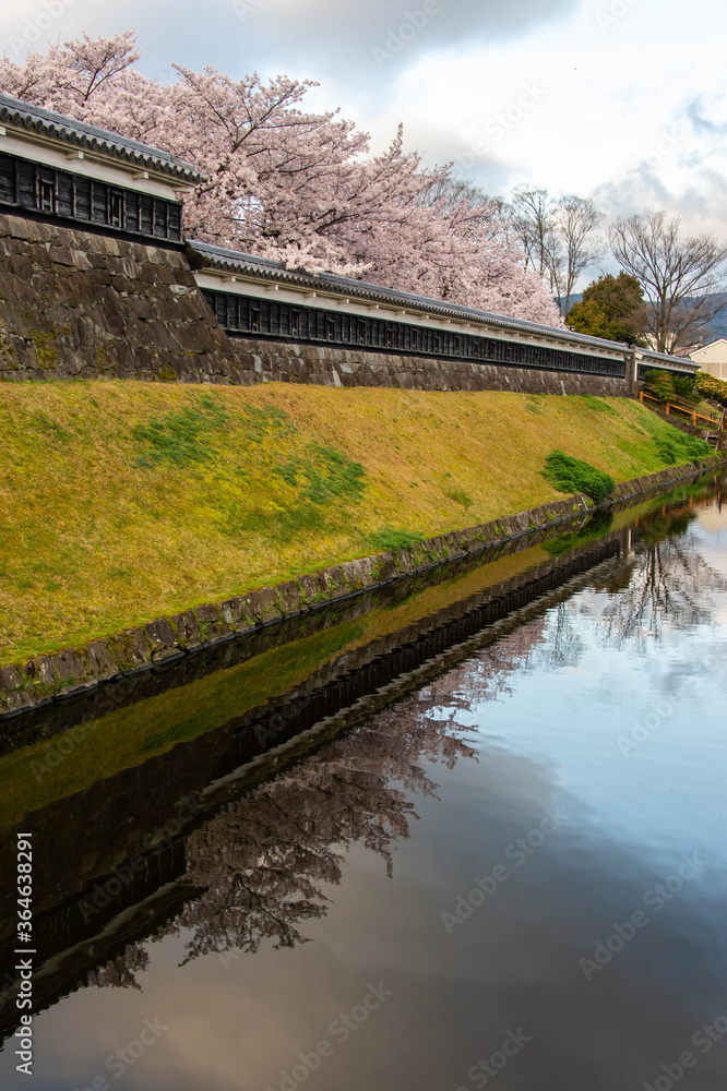Fototapeta premium 空と桜、水面への映り込み
