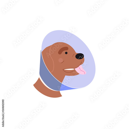 A dog in a dog collar. Treatment of Pets. Operation of dogs and animals. Veterinary clinic for dogs illustration
