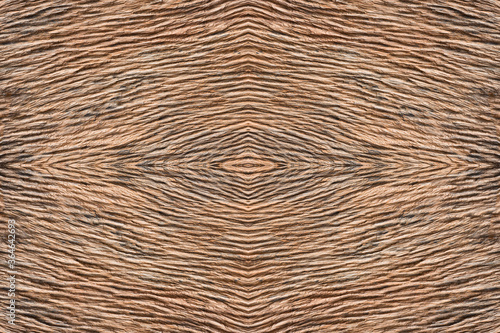 Texture and pattern of old wooden floor.