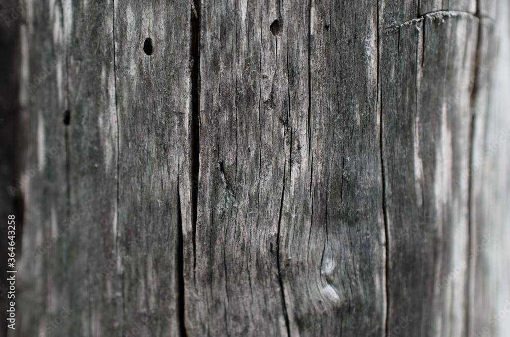 texture of old wood with cracks
texture of old wood with cracks