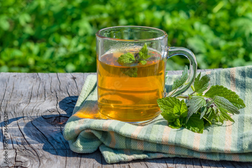Soothing, healing tea made from the medicinal herb of motherwort in a glass glass on a wooden table. Close-up on a background of summer greenery, rustic style