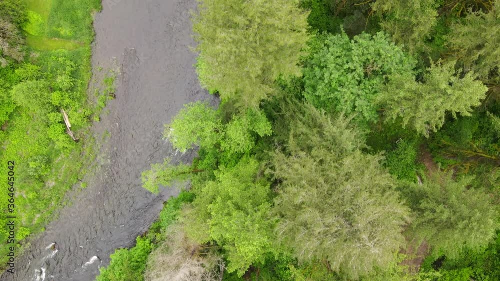 Drone flying over Washougal River surrounded by tall trees in a forest. Eagle eye point of view on a sunny day. Drone flying over Washougal River surrounded by tall trees in a forest. Eagle eye point of view on a sunny day.