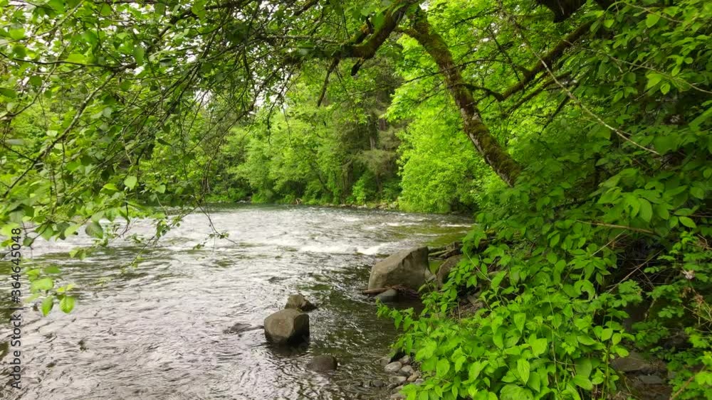 Low to the ground shot with drone flying through trees, continued to fly over small river. Washougal River. Low to the ground shot with drone flying through trees, continued to fly over small river. Washougal River.