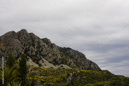 Mountains with trees in cloudy weather