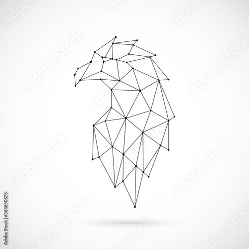 Abstract polygonal eagle head. Low poly stylized linear eagle construction. Vector illustration isolated on white background.