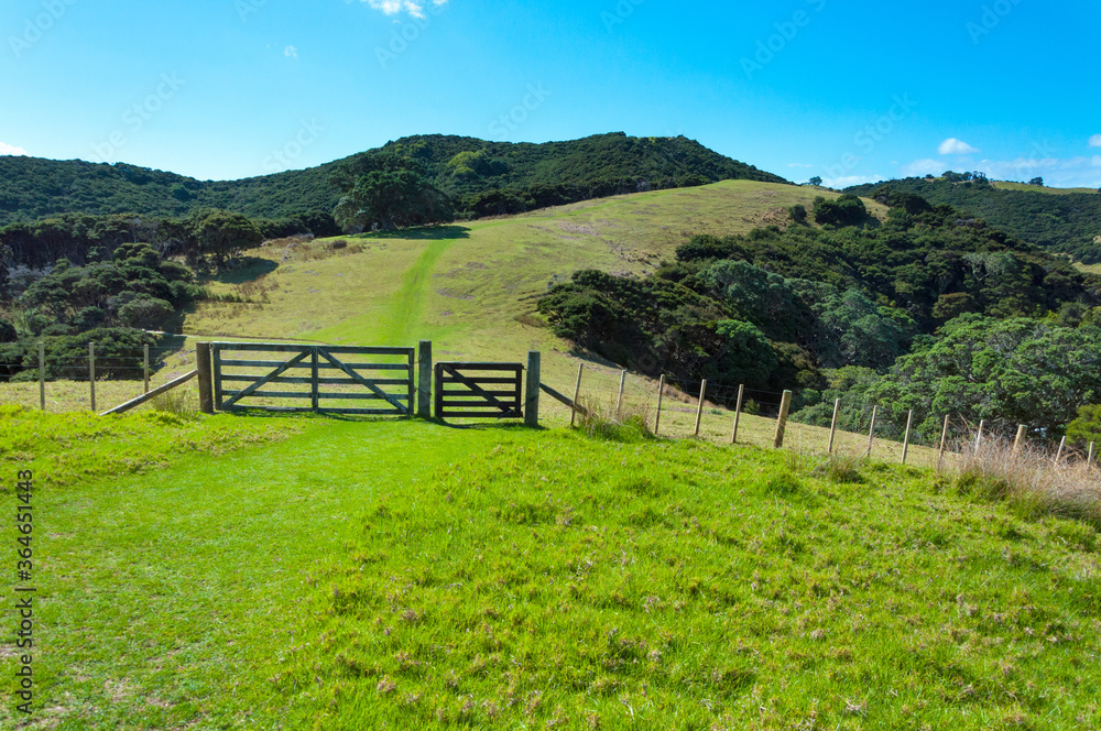 Hiking at Urupukapuka, Bay of Islands near Paihia, New Zealand, Scenic landscape, lush green meadow on hills with sheep gates to the green pasture field and clouds in the sky Hiking at Urupukapuka, Bay of Islands near Paihia, New Zealand, Scenic landscape, lush green meadow on hills with sheep gates to the green pasture field and clouds in the sky