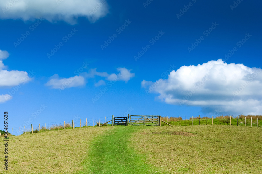 Hiking at Urupukapuka, Bay of Islands near Paihia, New Zealand, Scenic landscape, lush green meadow on hills with sheep gates to the green pasture field and clouds in the sky