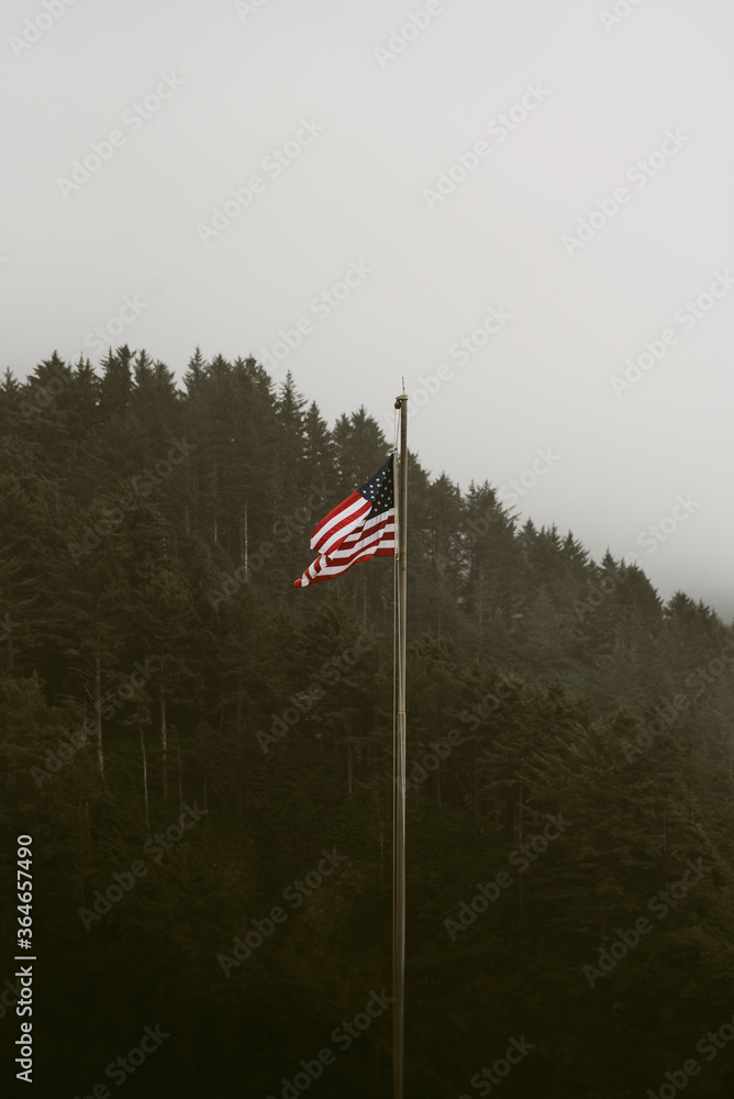 Fototapeta premium american flag in the wind