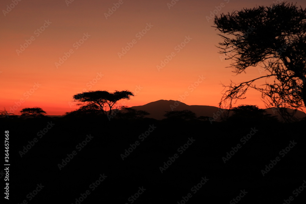 Ndutu Nationalpark, Tansania, Februar 2020