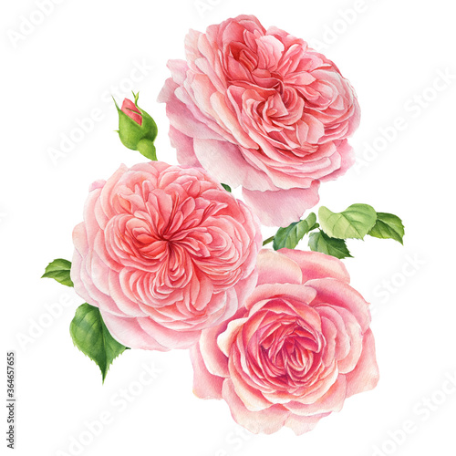 Bouquet of flowers on a white background. Watercolor delicate flowers pink roses