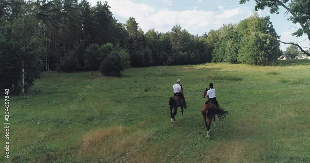 Back view of man cowboy and a woman riding a horses in a clearing near the forest, view from height. Back view of man cowboy and a woman riding a horses in a clearing near the forest, view from height.