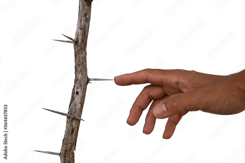 isolated tip of index finger touch prickle thorn , concept of unsafe action isolated tip of index finger touch prickle thorn , concept of unsafe action