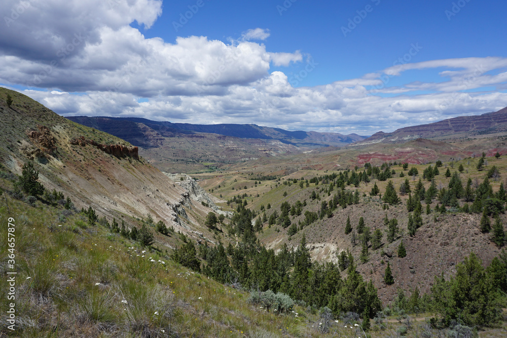 John Day Fossil Beds National Monument - Sheep Rock district (Oregon, USA)