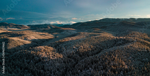 Carpathian mountains winter. Snow coniferous forest at sunset. © Андрей Трубицын
