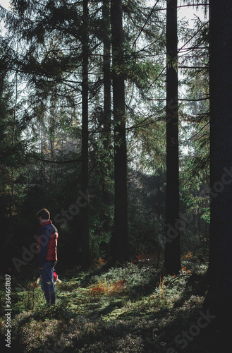 A man stands in the forest in morning light © Maria Karpova