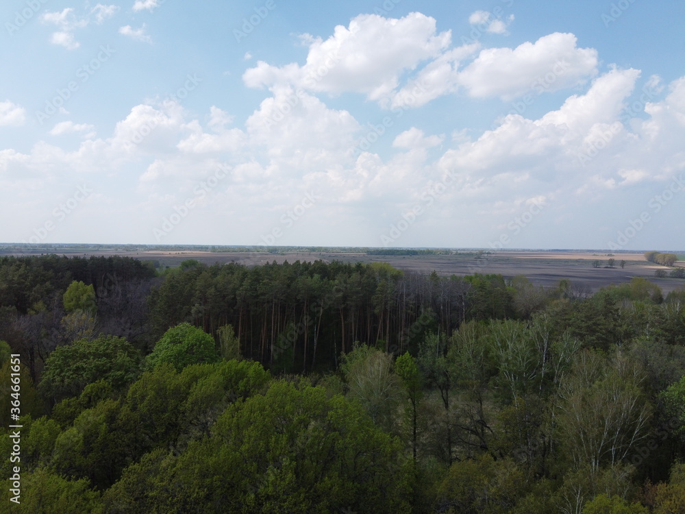Blue cloudy skies over a dense forest, aerial view. Beautiful cloudy sky over the forest.