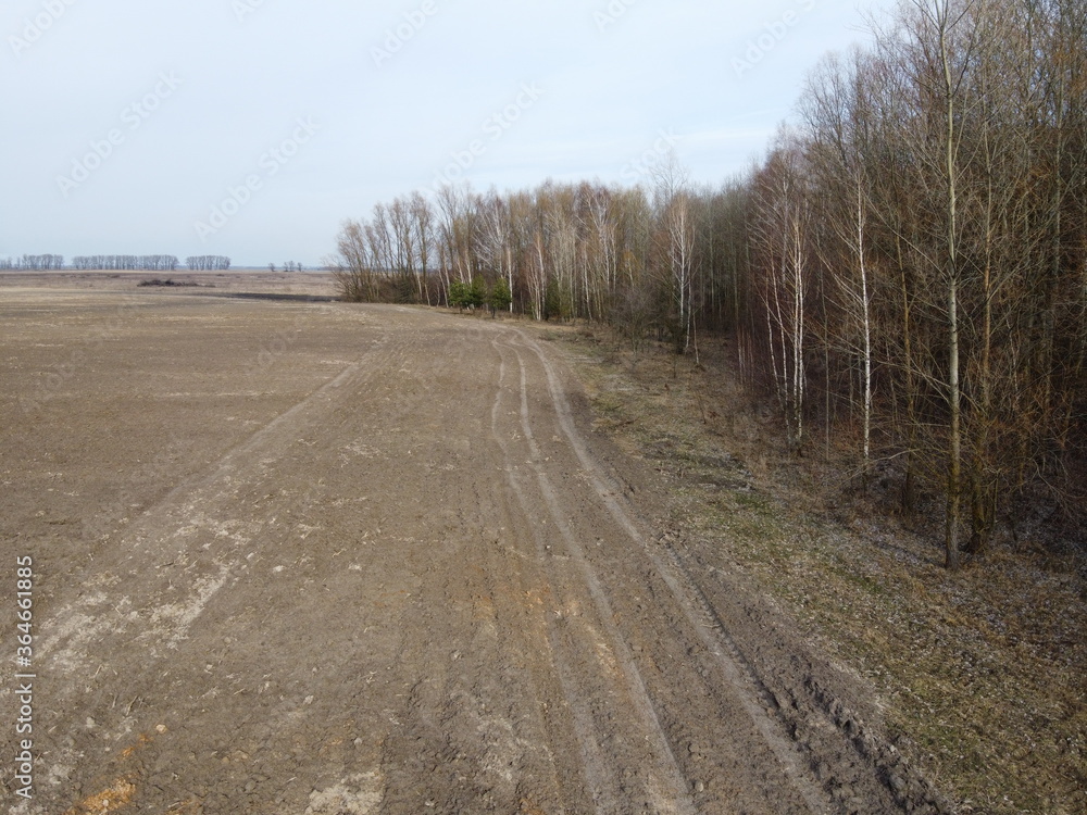 Naklejka premium Agricultural field near the forest, aerial view. Landscape.